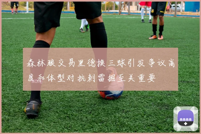 森林狼交易里德换三球引发争议高度和体型对抗刺雷掘至关重要